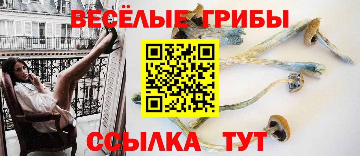 Галлюциногенные грибы мухоморы  Псилоцибиновые грибы Psilocybe  Сокол  Вход с VPN 