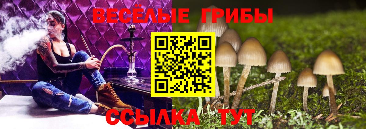 Галлюциногенные грибы ЛСД Сокол